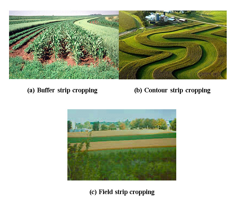 Soil Water Conservation Structures Lesson 3 Soil Conservation 